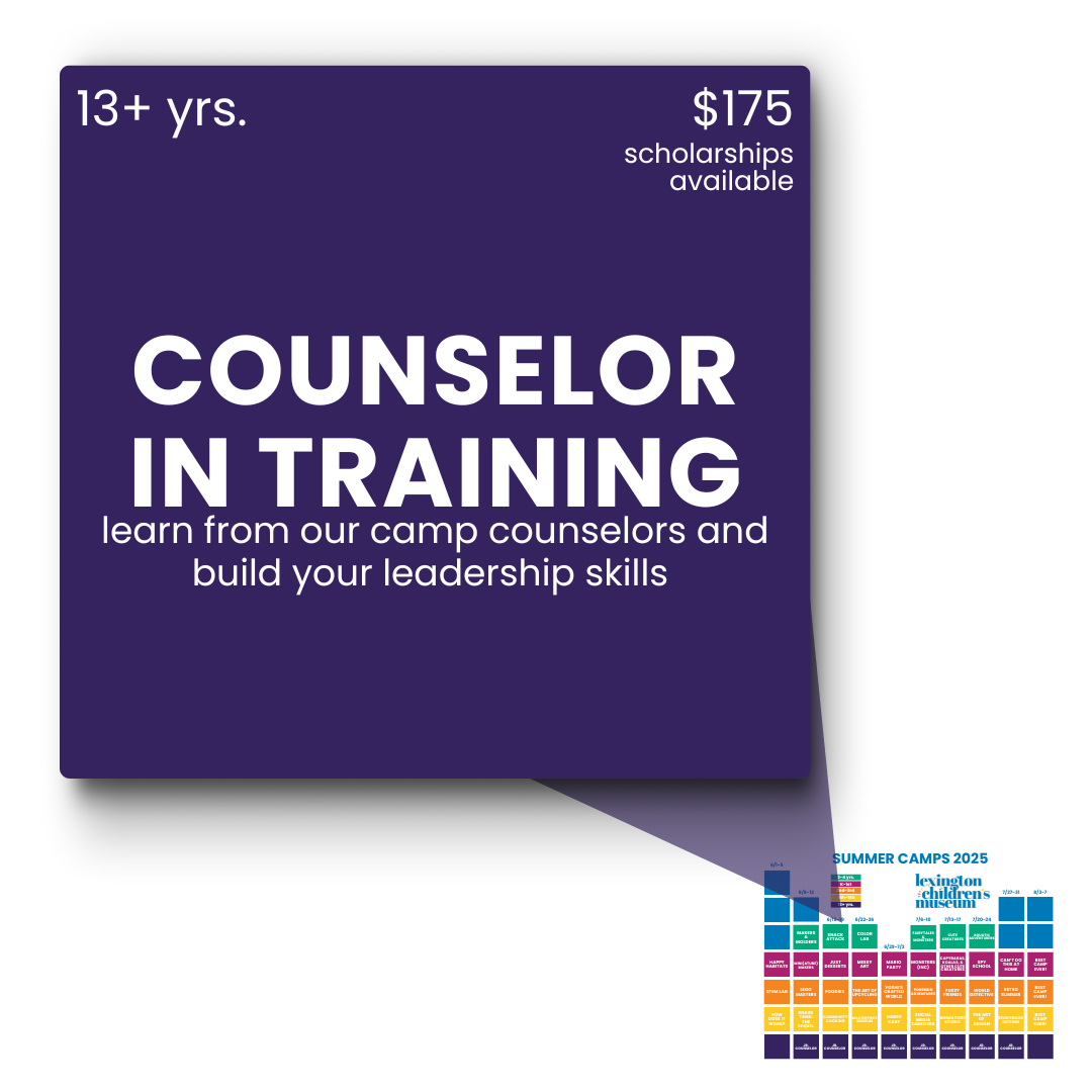 lcm counselor in training (13+ yrs.) - logo